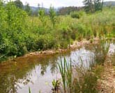 Renaturation de cours d'eauZones Humides